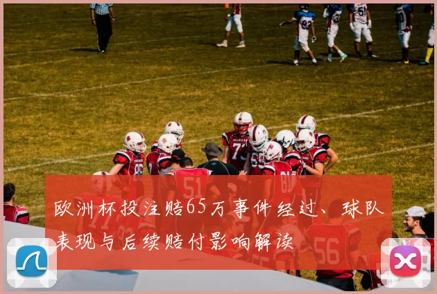 欧洲杯投注赔65万事件经过、球队表现与后续赔付影响解读