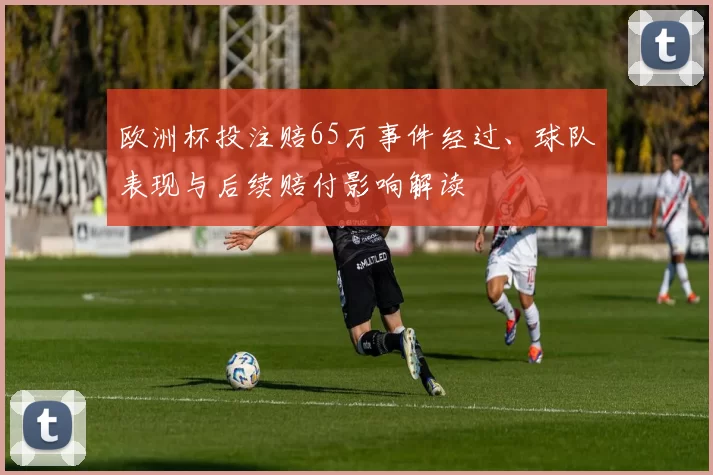 欧洲杯投注赔65万事件经过、球队表现与后续赔付影响解读