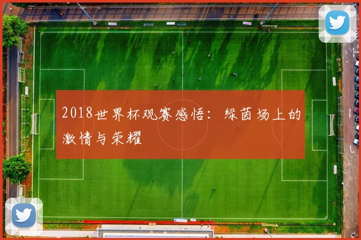 2018世界杯观赛感悟：绿茵场上的激情与荣耀