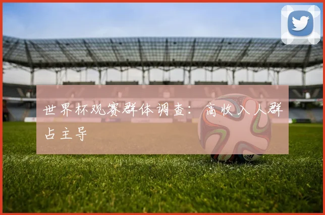 世界杯观赛群体调查：高收入人群占主导