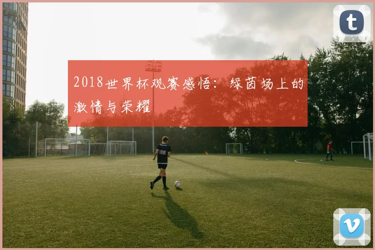 2018世界杯观赛感悟：绿茵场上的激情与荣耀