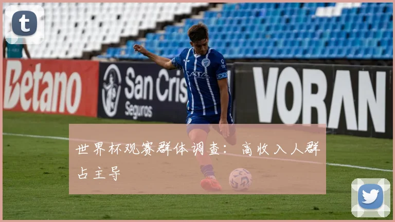 世界杯观赛群体调查：高收入人群占主导